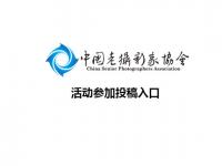 投稿入口